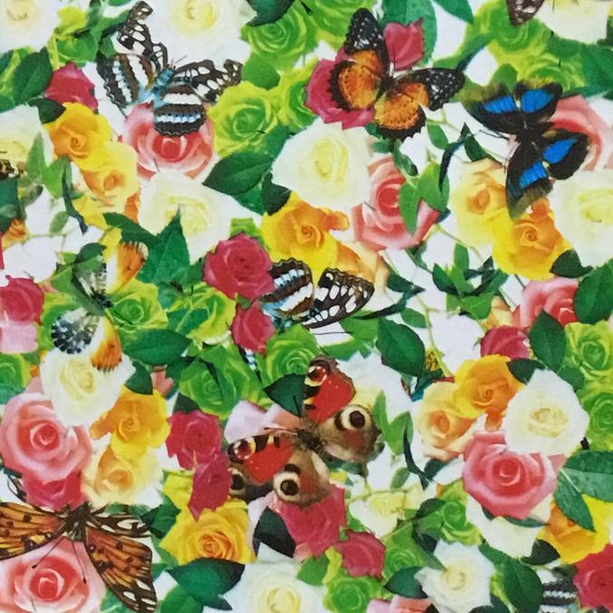 DIP WIZARD HYDROGRAPHIC DIP KIT BUTTERFLY GARDEN