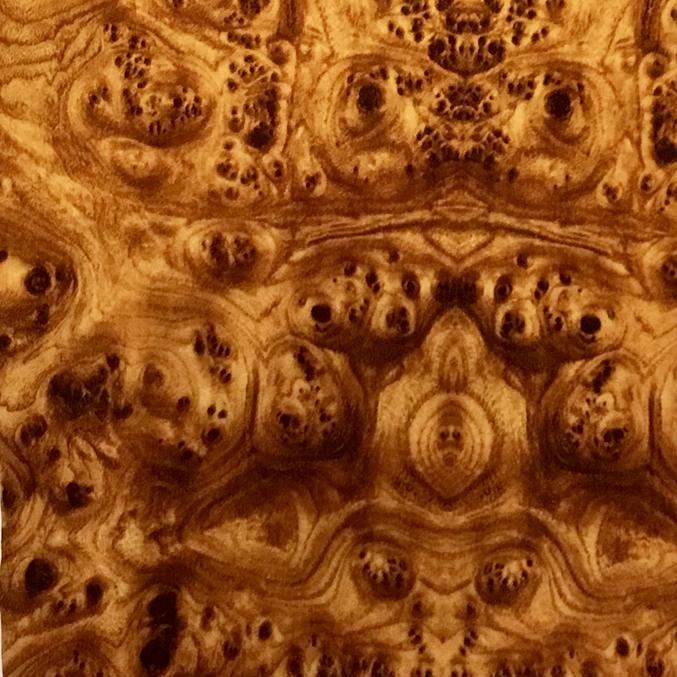Burl