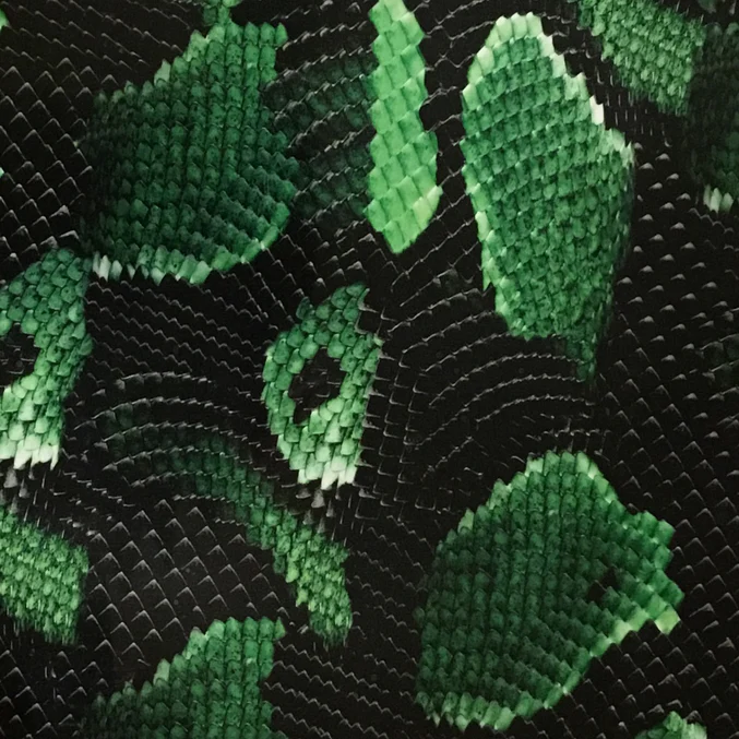 Snake Skin & Scales